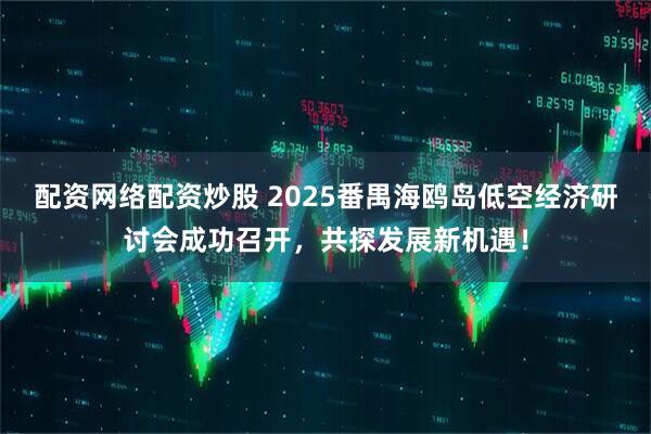 配资网络配资炒股 2025番禺海鸥岛低空经济研讨会成功召开，共探发展新机遇！
